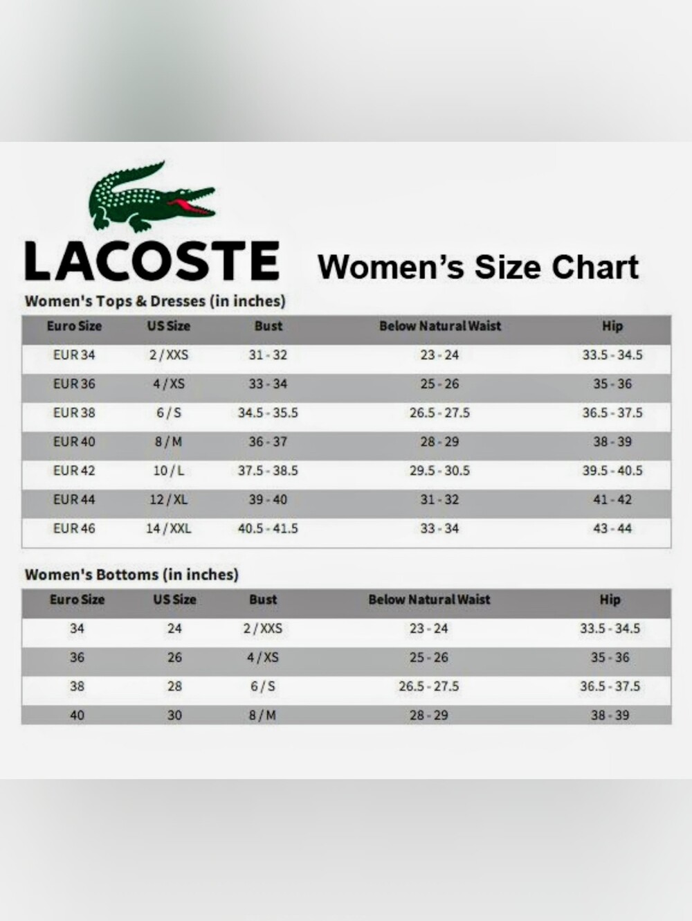 🐊Lacoste Light Pink Shortsleeve T-Shirt. Women's Size: Medium. Regular Fit. - Picture 7 of 12